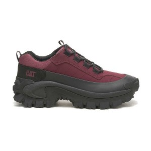 Black / Burgundy Men's Caterpillar Intruder Waterproof Galosh Sneakers | 362701-KFW