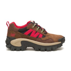 Brown Women's Caterpillar Intruder Beta Sneakers | 364172-NJS