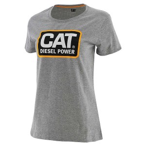 Grey Women's Caterpillar Diesel Power Tee T-Shirt | 423957-KXM