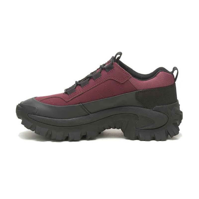 Black / Burgundy Women's Caterpillar Intruder Waterproof Galosh Sneakers | 068941-WMU