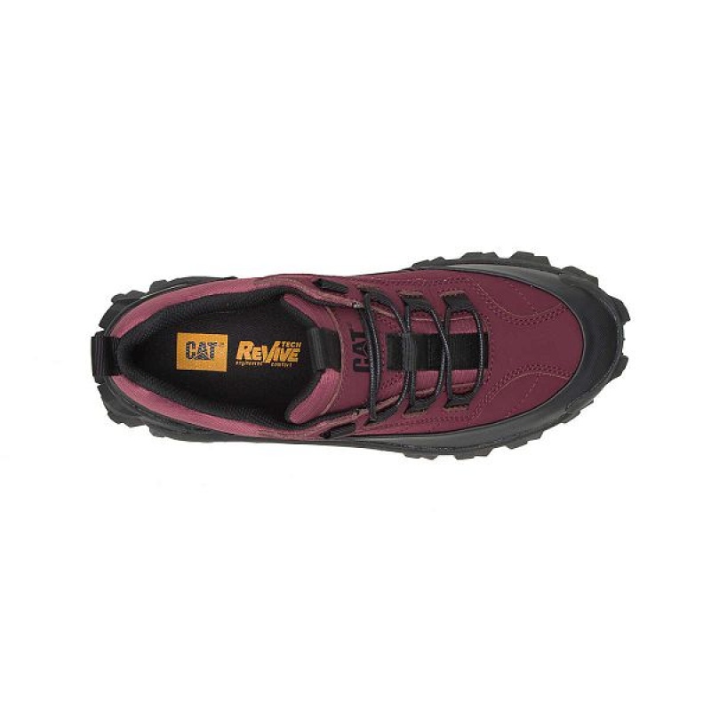 Black / Burgundy Women's Caterpillar Intruder Waterproof Galosh Sneakers | 068941-WMU