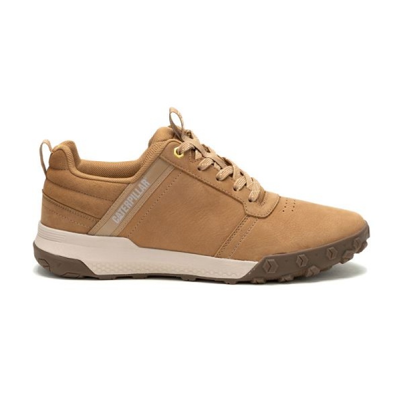 Brown Men's Caterpillar Hex Ready Lo Sneakers | 359820-KBW