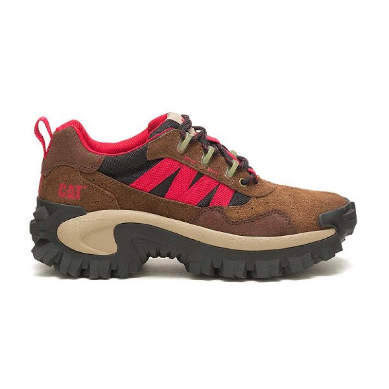 Brown Men\'s Caterpillar Intruder Beta Sneakers | 854320-NFA