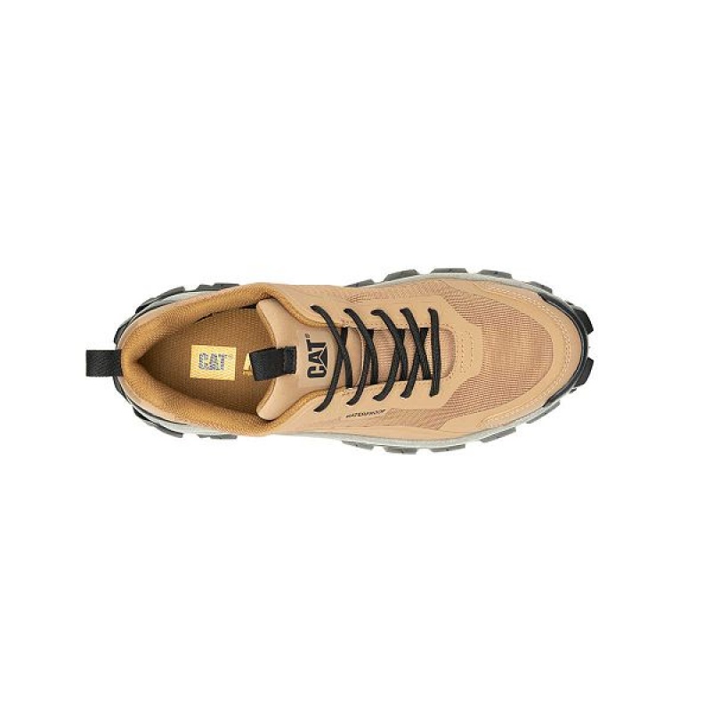 Brown Men's Caterpillar Intruder Lightning Mesh Waterproof Sneakers | 041987-TJR