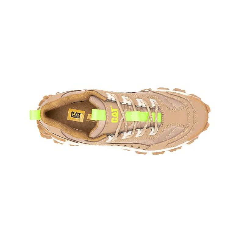 Brown Men's Caterpillar Intruder Sneakers | 320584-EWN