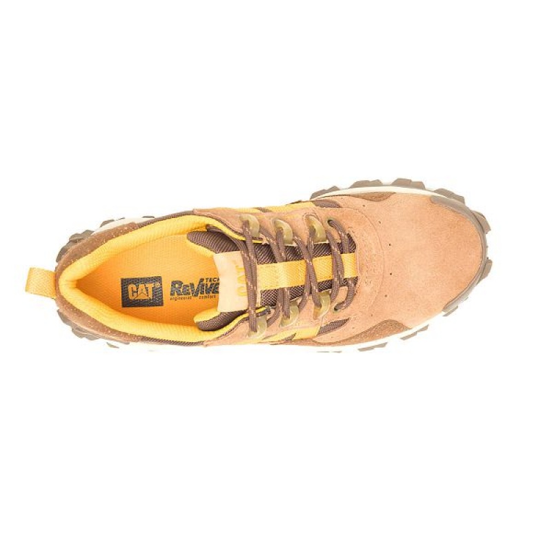 Brown Women's Caterpillar Intruder Beta Sneakers | 593408-SUP