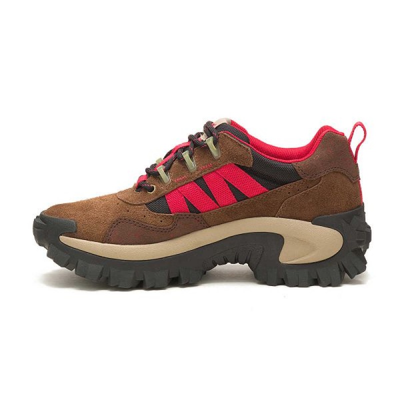 Brown Women's Caterpillar Intruder Beta Sneakers | 364172-NJS