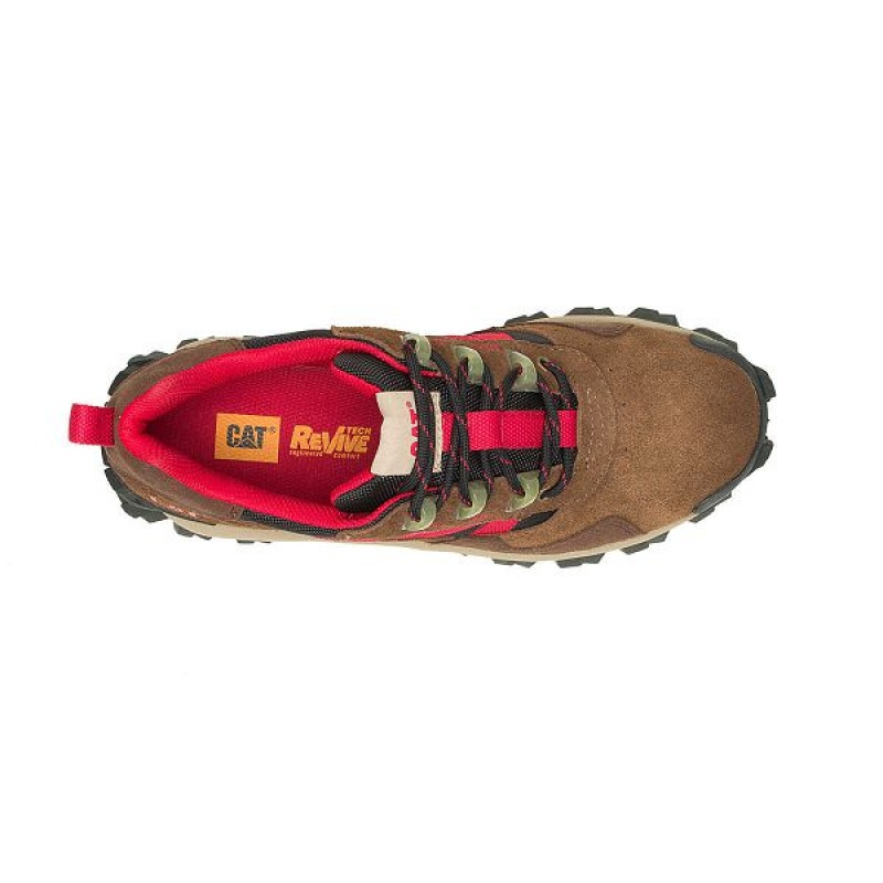 Brown Women's Caterpillar Intruder Beta Sneakers | 364172-NJS